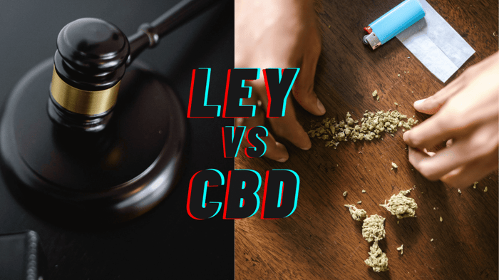 ¿Es legal el CBD en España?