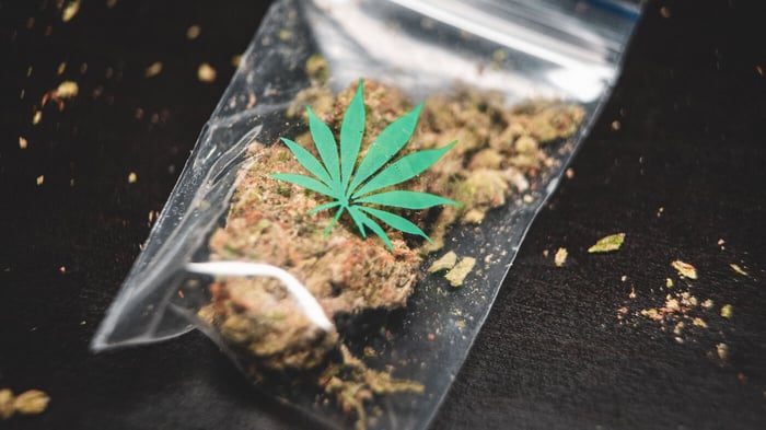 ¿Es el CBD una droga? ¿Es adictivo o perjudicial para la slud?
