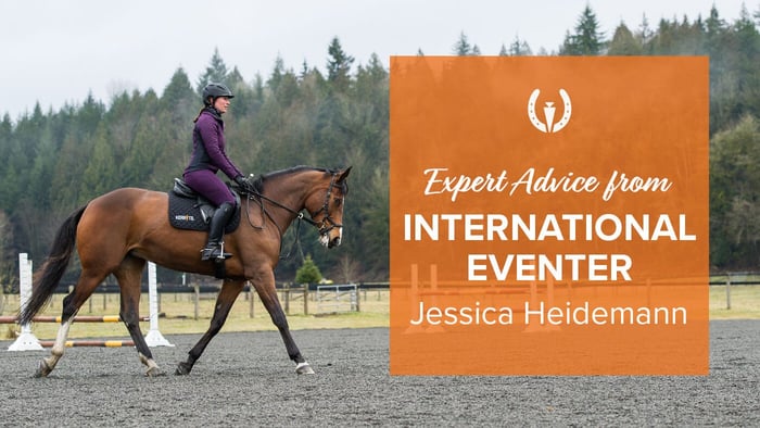 What horse riding discipline should I do?