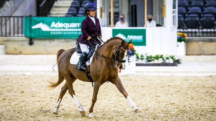 What para-equestrian disciplines are there?