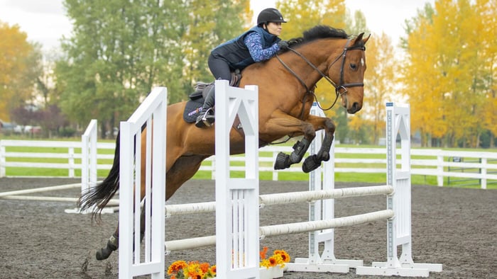 Where can I find petite breeches?