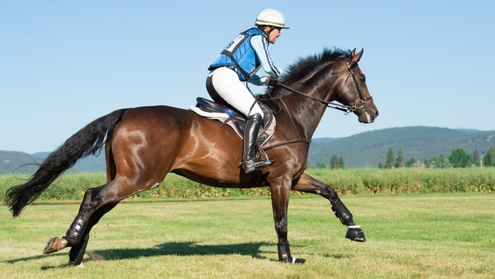 Winning the Great White Breeches Debate