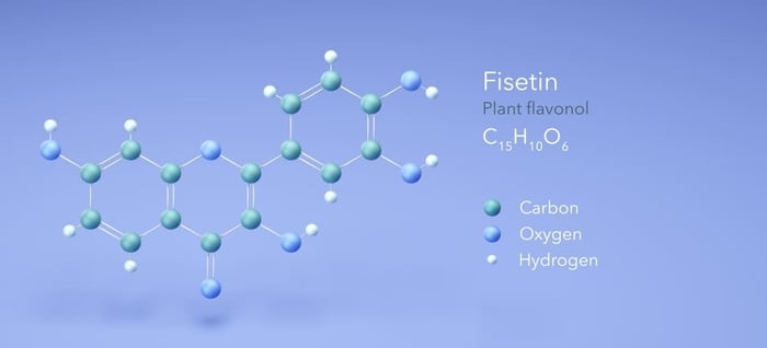 A three-dimensional diagram of fisetin’s chemical structure