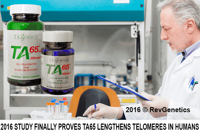 TA-65 clinical trial results showing telomere lengthening in human subjects