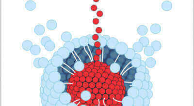 Revolutionary curcumin supplement showing 277 times higher bioavailability for enhanced women's health benefits