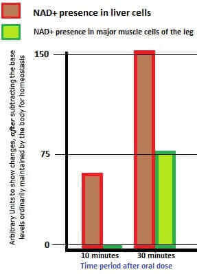 NMN supplement reverse aging effectiveness comparison chart