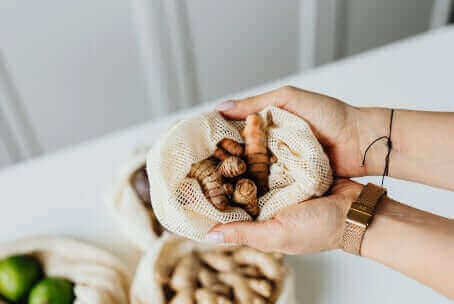Turmeric and ginger roots displaying the Zingiberaceae family's healing heritage