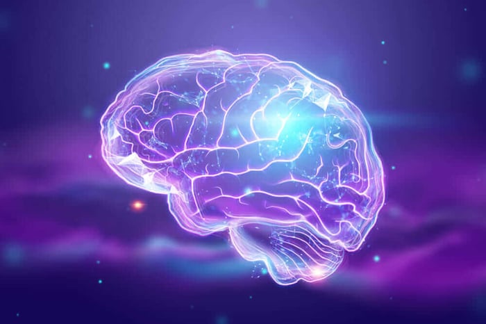 What is Fisetin? A Guide To A Remarkable Flavonol