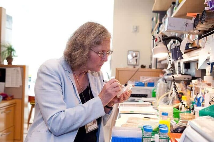 Human Telomere Length Predicts Longevity – Year End Review By Elizabeth Blackburn