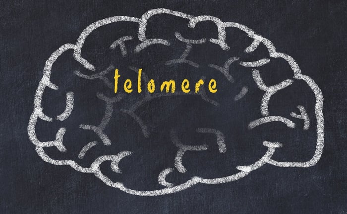 New Cancer And Telomere Science Articles