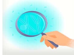 Telomeres Tested – A TA-65 Study
