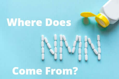 Where Does NMN Come From?