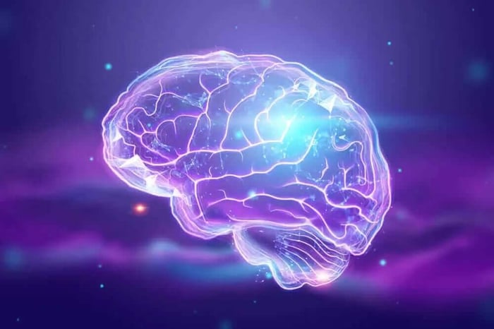 What is Fisetin? A Guide To A Remarkable Flavonol