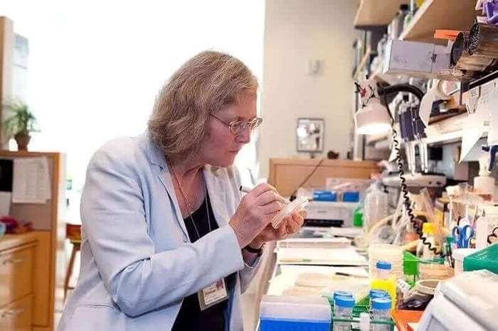 Human Telomere Length Predicts Longevity – Year End Review By Elizabeth Blackburn