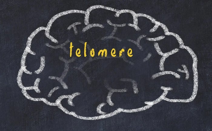 New Cancer And Telomere Science Articles