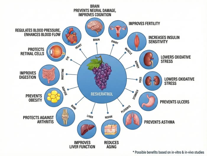 Resveratrol molecular structure showing immune system benefits and protective properties