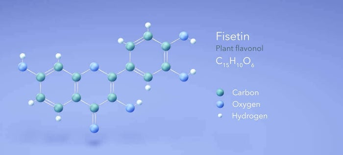 What is fisetin - molecular structure and natural sources including strawberries