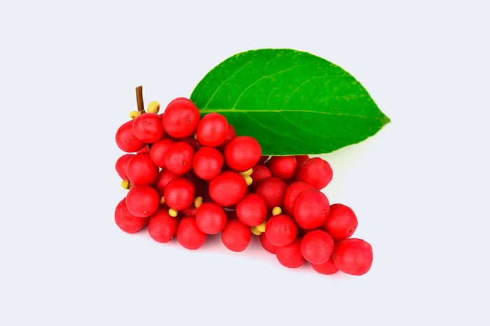 Schisandra, qué es y para qué sirve