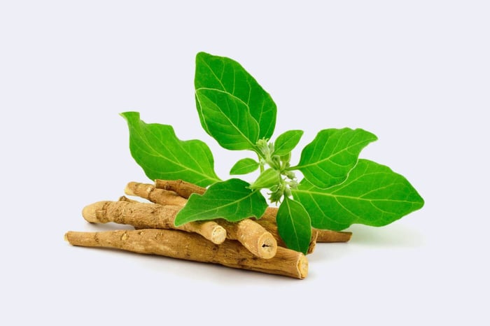 Los beneficios de la Ashwagandha