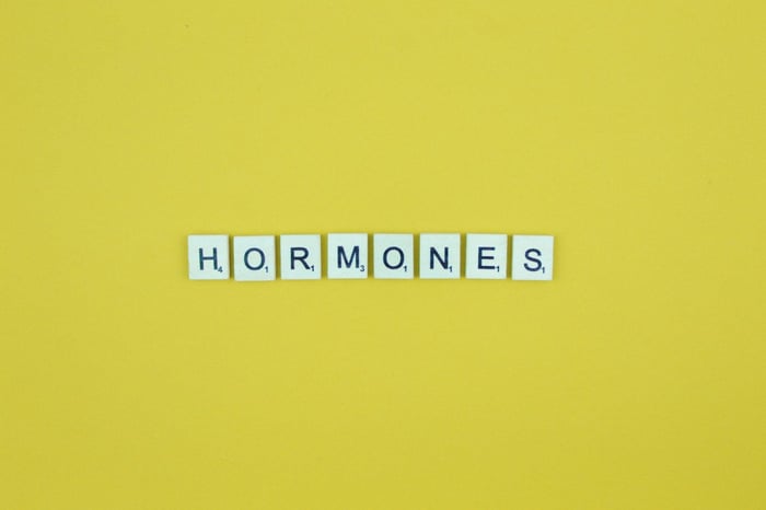 Hormonas femeninas: ¿Cómo se comportan?