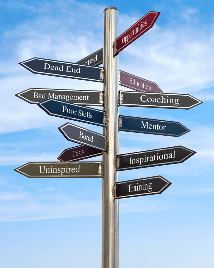 Therapists Becoming Life Coaches