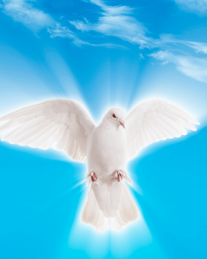 spiritual strongholds