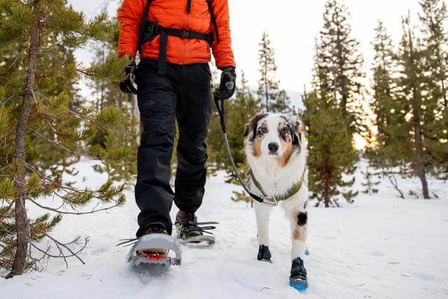 Keeping Your Pet Warm in Winter