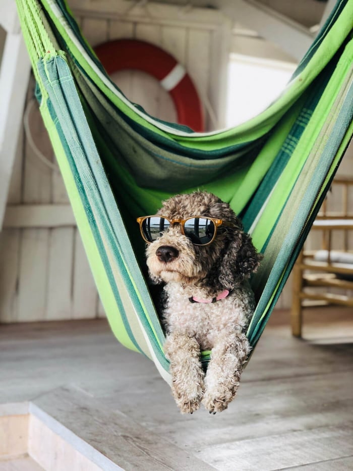 Picking Out the Perfect Hammock