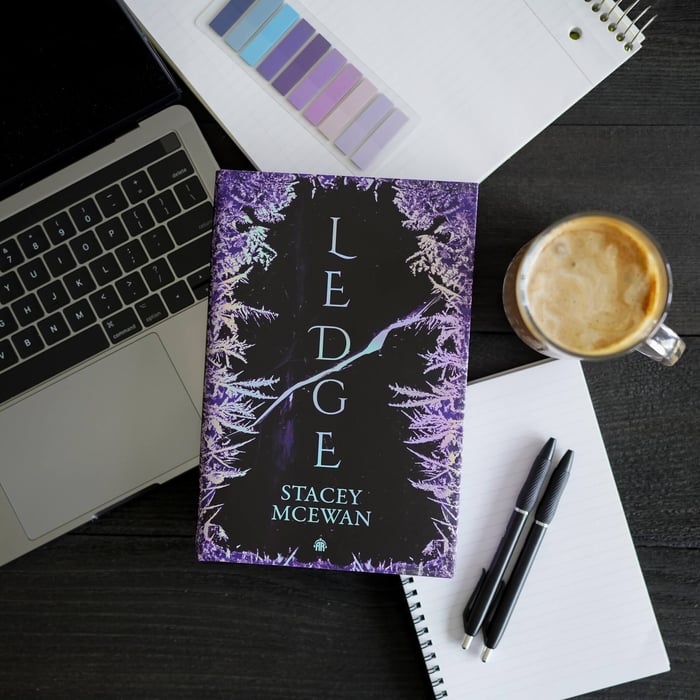 Ledge by Stacey McEwan LitJoy Special Edition