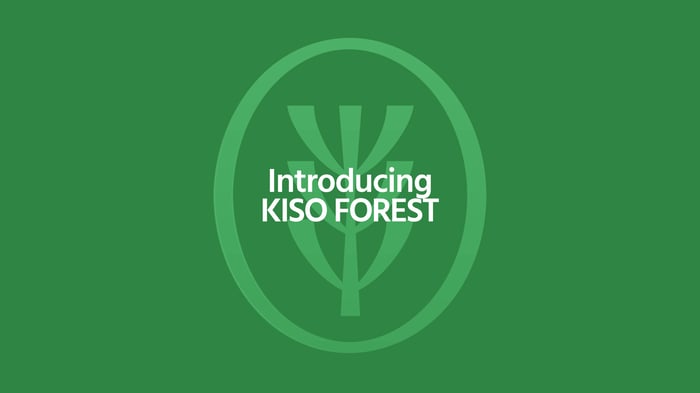 Introducing Kiso Forest