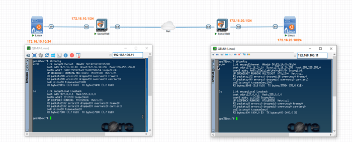 Network setup diagram showing SonicWall connected to two Linux systems with ifconfig outputs displayed for verification.
