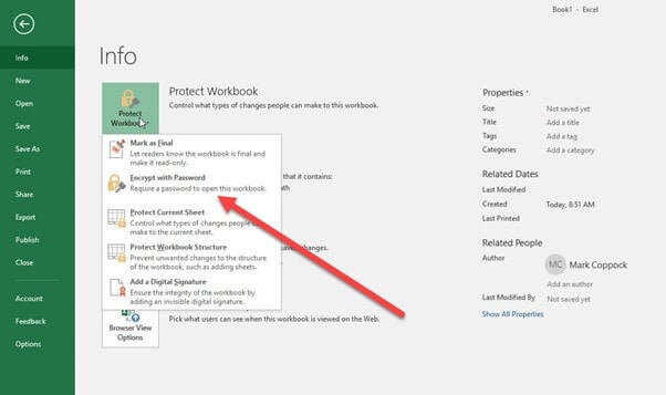 How to Password-Protect an Excel File: A Comprehensive Guide
