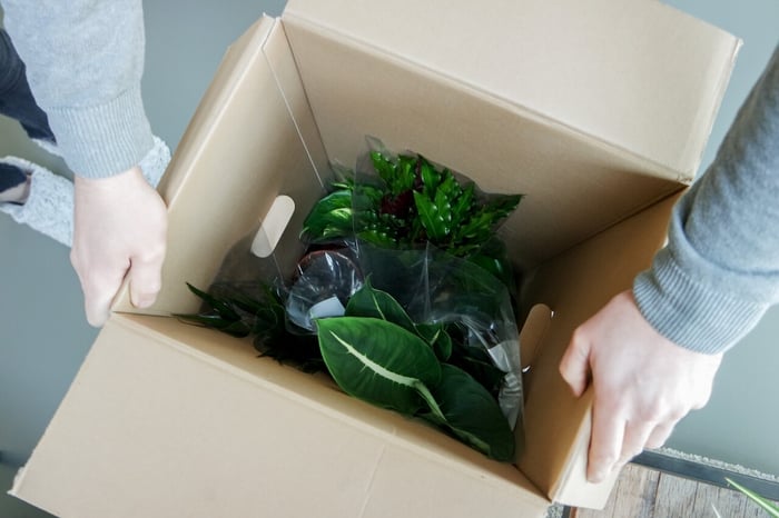 Plant Parents' Top 10 Tips for Moving