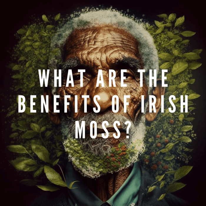 Irish Moss Benefits: Nature's Secret to Wellness