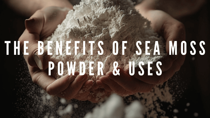The Benefits of Sea Moss Powder & Uses