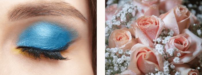 Photos of blue eye shadow and pink roses.