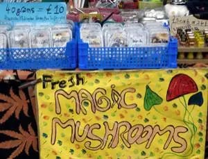 Camden Market mushroom vendor