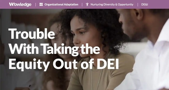 Taking the Equity Out of DEI