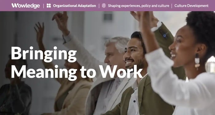 Bringing Meaning to Work for Superior Results