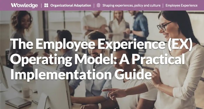 The Employee Experience (EX) Operating Model: A Practical Implementation Guide