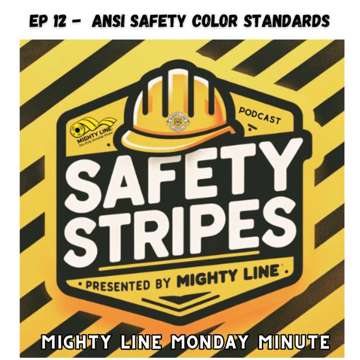Understanding ANSI Codes: Color Standards Guide  ANSI Z535.1