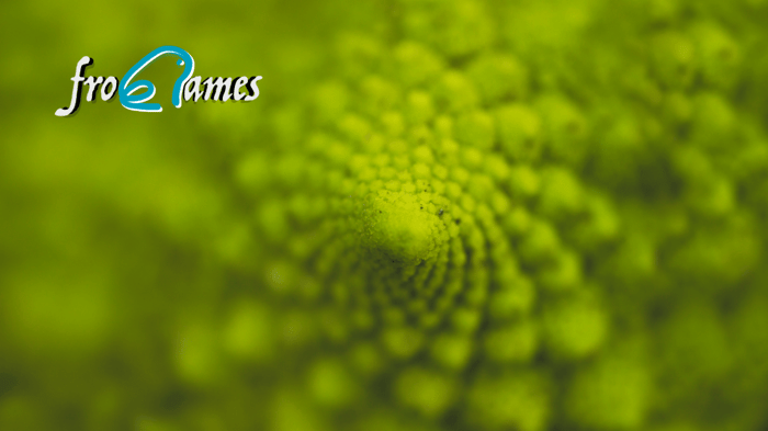 Logaritmos: la herramienta matemática que transforma multiplicaciones en sumas