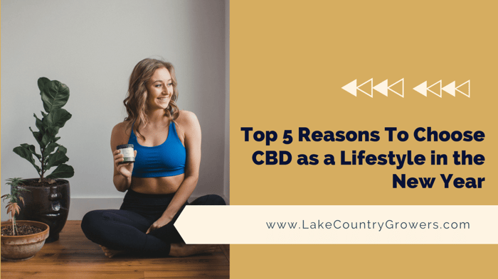 Top 5 Reasons To Choose CBD as a Lifestyle in the New Year