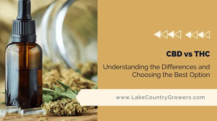 CBD and THC: Understanding the Differences and Choosing the Best Option
