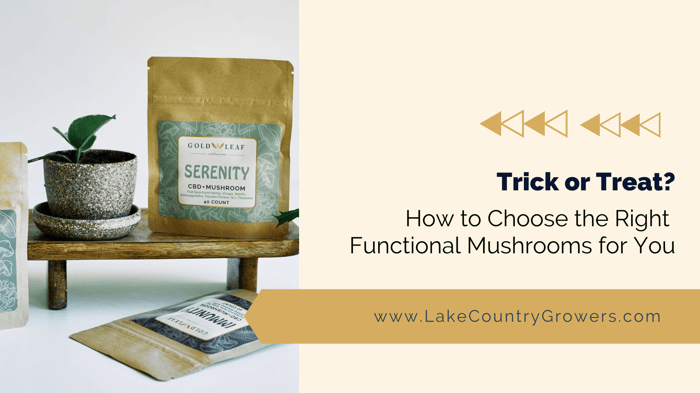 Trick or Treat? How to Choose the Right Functional Mushrooms for You
