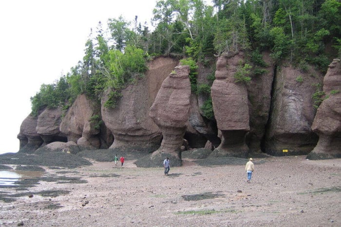 Your next road-trip: New Brunswick