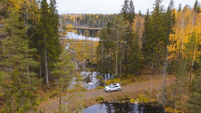 Tires in fall and how to take care of them