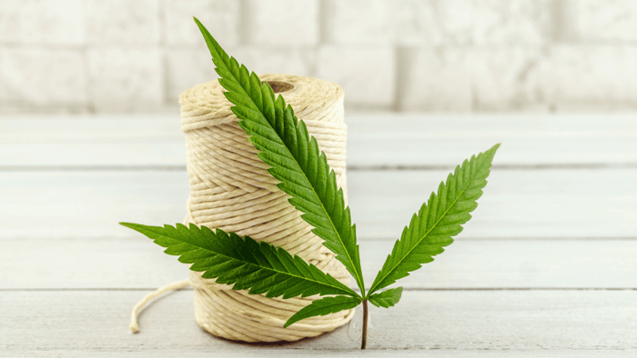 A Journey Through the History of Hemp in the United States