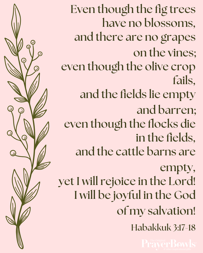Habakkuk 3:17-18 - A Prayer To God, The Source Of My Joy