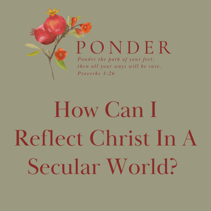 Ponder: How Can I Reflect Christ In A Secular World?